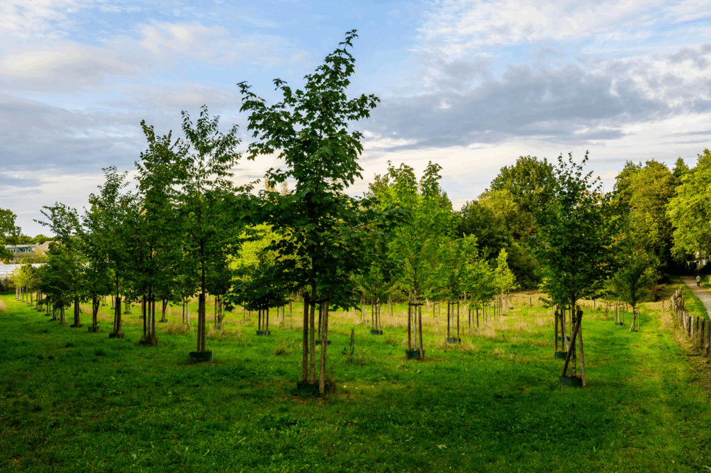 Burgerbelangen Kerkrade_Duurzaamheid en Milieu